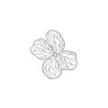 Black Line Art Cuckoo Flower Vector Lady SMock Royalty Free Stock Photo