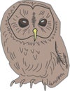 Brown cute owl with big eyes Royalty Free Stock Photo