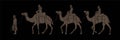 Cameleer with caravan camels cartoon graphic