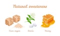 Natural sweeteners set. Vector stock illustration of honey, stevia plants and pills. Brown cane sugar cubes and sugar pile