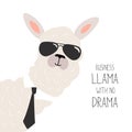 Llama illustration, cute hand drawn elements and design for nursery design, poster, birthday greeting card