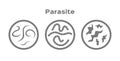 Parasite in human icon