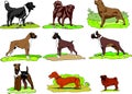 Dogs of Different breeds stay on grass, logo, print, instant download, Dog Clip Art set svg formats. Royalty Free Stock Photo