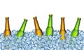 Beer bottles on ice. Realistic Vector Illustration. Royalty Free Stock Photo