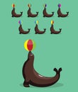 Animal Animation Seal Ball Playing Cute Cartoon Vector Illustration