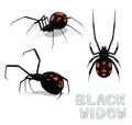 Spider Black Widow Cartoon Vector Illustration