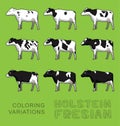 Holstein Fresian Cow Coloring Variations Vector Illustration Royalty Free Stock Photo