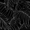 Nature seamless pattern. Hand drawn tropical summer background: white palm tree leaves, line art. Royalty Free Stock Photo