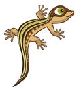 Cute Cartoon Lizard Vector Illustration Isolated on White Royalty Free Stock Photo