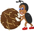 Funny Brown Beetle Cartoon