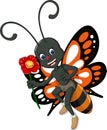 Funny Grey Orange Butterfly Cartoon