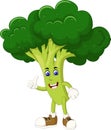 Funny Green Broccoli Cartoon Royalty Free Stock Photo