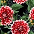 Floral seamless autumn pattern with hand drawn red dahlias flowers,berries and herbs. Royalty Free Stock Photo