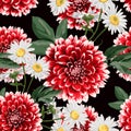 Floral seamless pattern with hand drawn red dahlias and camomile flowers with leaves.