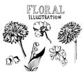 Hand drawn flowers, vector illustration