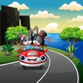 Couples rabbit cartoon driving a car in the seaside road