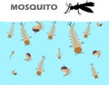 Mosquito larva under the water before becoming adult are mosquitoes and come up to live on land. Mosquito larvae before the adult.