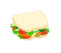 Sandwiches are filled with meat, tomatoes, cheese, lettuce and pickled cucumbers isolated on white background.