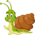 Funny snail Cartoon