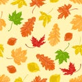 Seamless pattern with autumn leaves of oak, maple and beech on a yellow background. Royalty Free Stock Photo