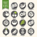 Ready design vector fruit icon set