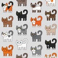 Various cats seamless pattern. Cute and funny cartoon kitty cat vector illustration different cat breeds. Pet kittens of different