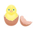 Cute yellow chicken in broken egg shell. Royalty Free Stock Photo