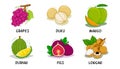 Fruits, Fruits Collection, Grapes, Duku, Mango, Durian, Figs, Longan