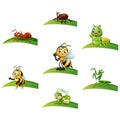 Cartoon insect on leaf collections set