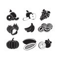 Fruit set illustrations for drawing symbol logo silhouette