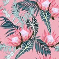 Nature seamless pattern. Hand drawn tropical summer background: exotic blue leaves and pink protea flowers. Royalty Free Stock Photo