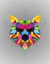 Colorful owl bird low poly design