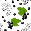 Currant seamless pattern. Vector illustration of ÃÂolor and black and white berries.