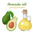 Avocado oil in glass bottle isolated