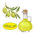 Vector olive oil in glass bottle. Royalty Free Stock Photo