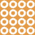 Sunflawer seamless pattern Royalty Free Stock Photo