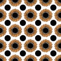 Sunflawer seamless pattern Royalty Free Stock Photo
