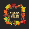 Hello Autumn phrase. Autumn Greeting Card with Quote