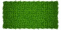 Green grass background. Lawn nature. Abstract field texture. Symbol of summer, plant, eco and natural, growth or fresh.