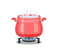 Red pan with boiling water on a gas stove Royalty Free Stock Photo