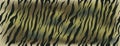 Stripe animals jungle tiger fur texture Khaki green pattern seamless repeating. Camouflage repeat print. Royalty Free Stock Photo