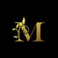 Classy Gold Letter M Logo Icon . Initial Letter M Design Vector Luxury Gold Color.Print monogram initials stamp line art sign symb Royalty Free Stock Photo