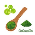 Chlorella green algae. Chlorella superfood powder in wooden spoon Isolated