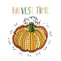 Hand drawn pumpkin Autumn harvest