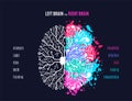 Left and right brain concept