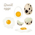 Quail eggs isolated on white background set.