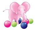 Baby elephants playing with colorful balls Royalty Free Stock Photo