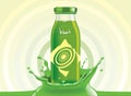 Vector kiwi juice, fruit glass bottle with drop splash