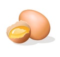 Half broken chicken egg. Vector illustration. Royalty Free Stock Photo