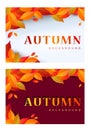 Autumn background set. Royalty Free Stock Photo